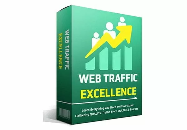 Web Traffic Excellence Online Certificate Courses